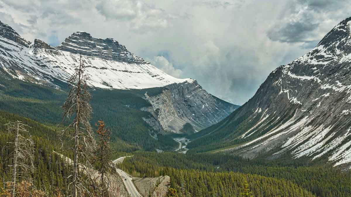 Alberta invited 250 individuals in the first Express Entry round of 2022