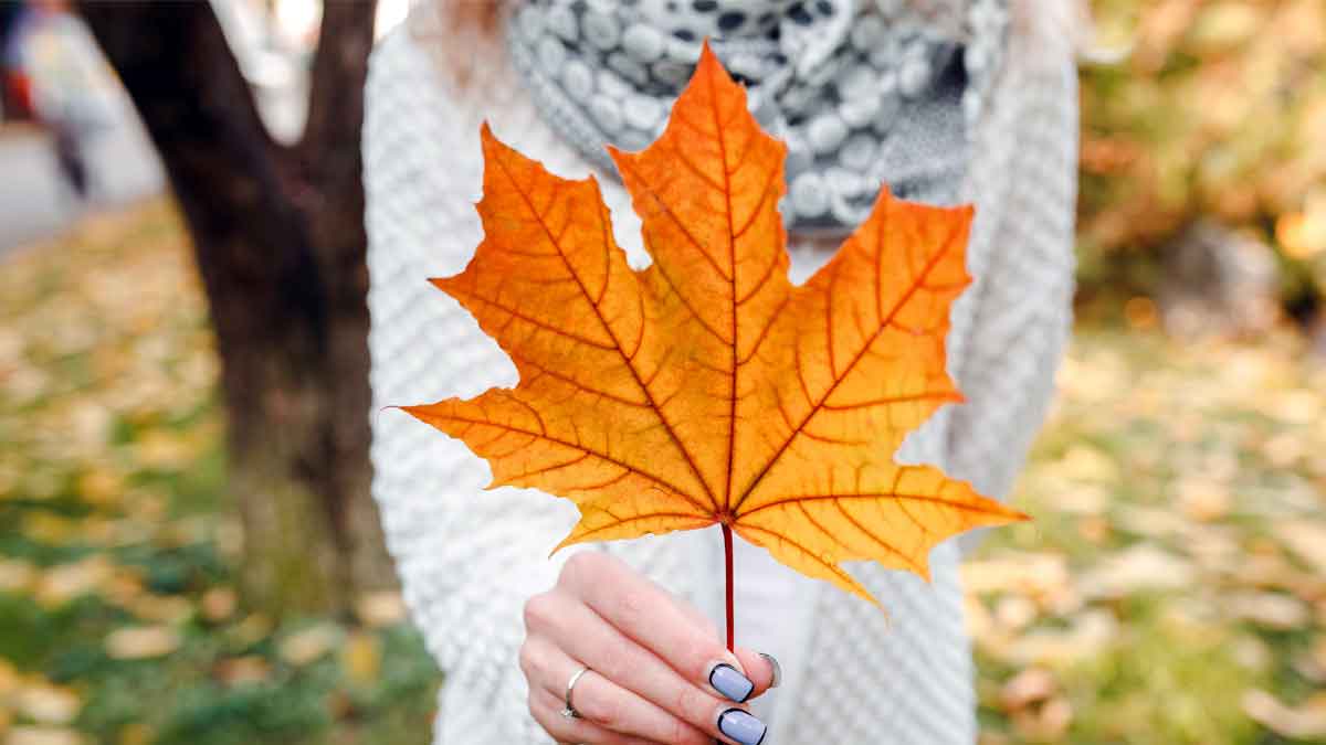 Canada opens door to fully vaccinated permanent residents and international students.