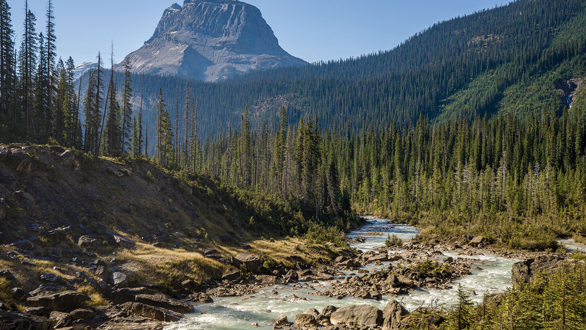 Latest British Columbia PNP draw invites 506 immigrants for PR Visa