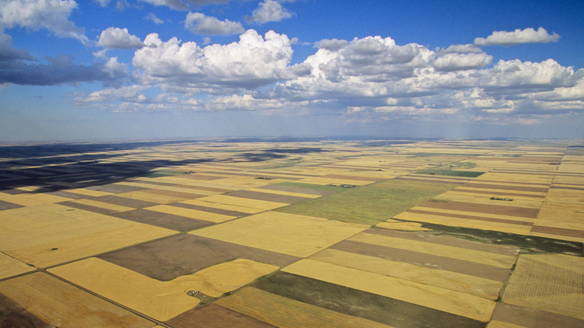 Saskatchewan PNP invites 269 immigrants in the latest provincial draw