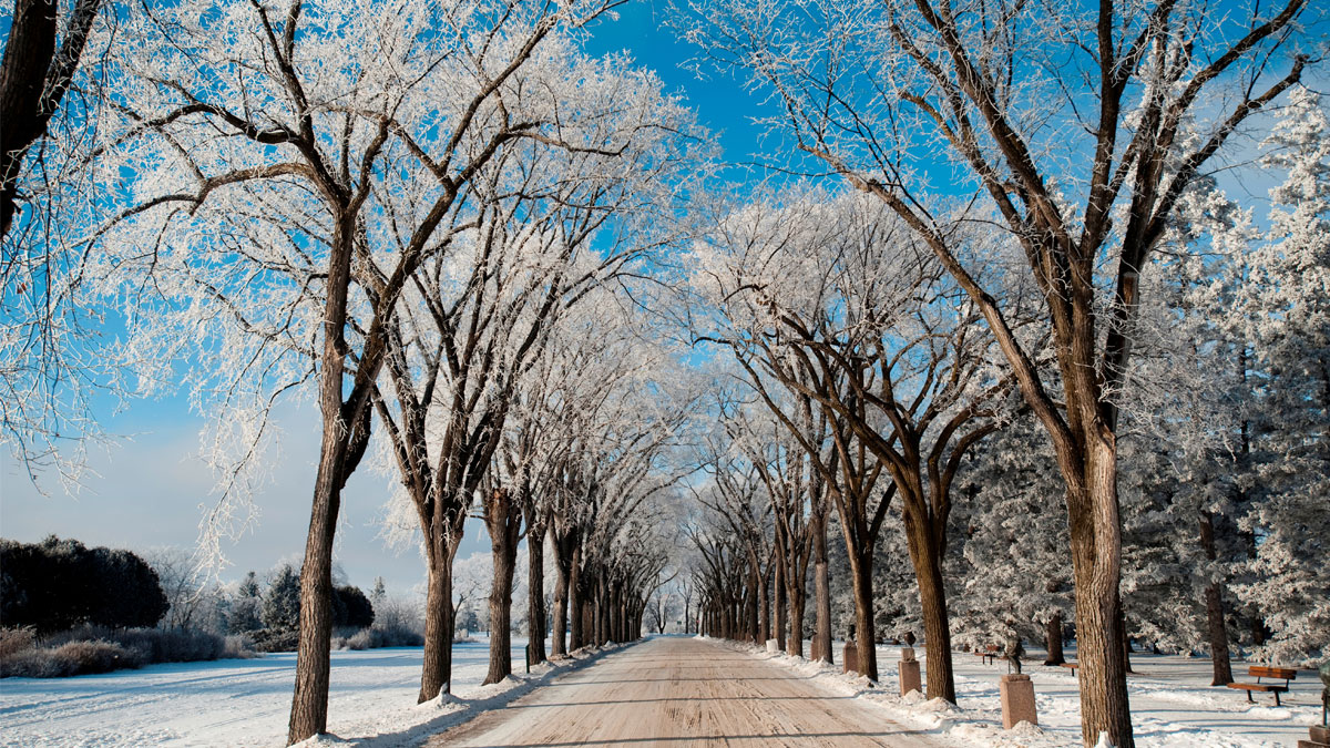 Manitoba PNP latest provincial draw invites 299 candidates