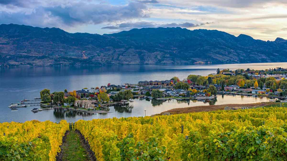 British Columbia PNP Draw: 198 Individuals Invited