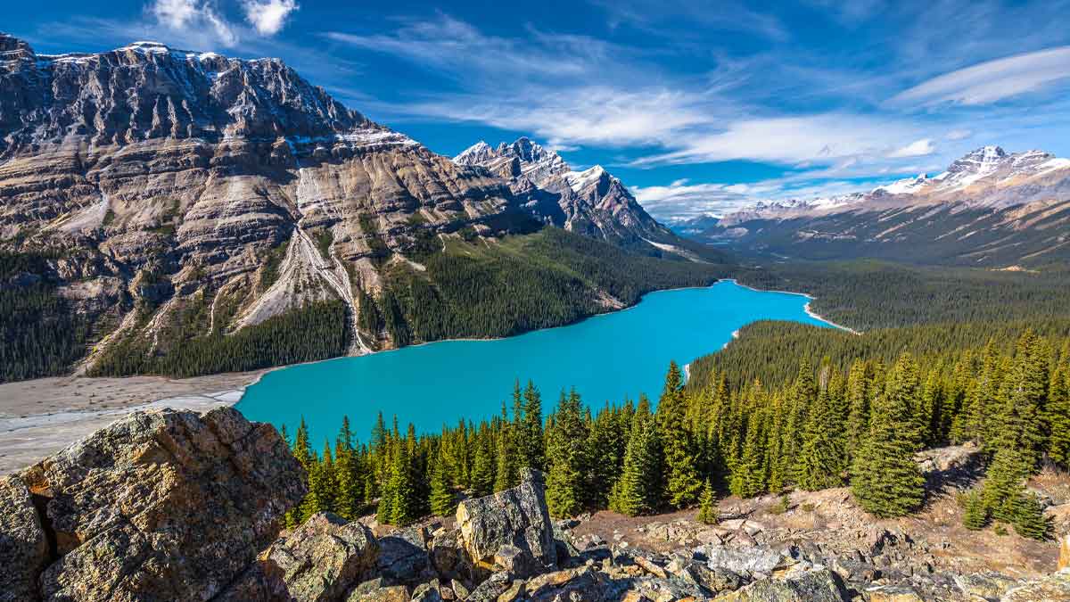 Brace yourselves for the newest Alberta PNP draw
