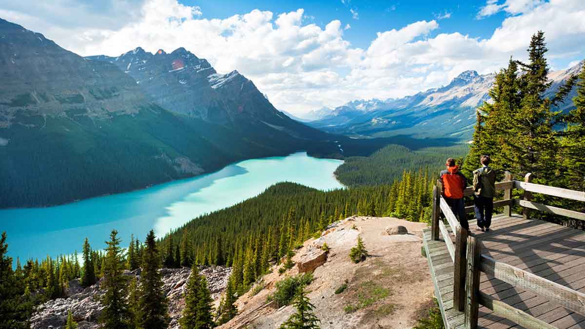 Canada accepts 521 PNP applicants through Express Entry