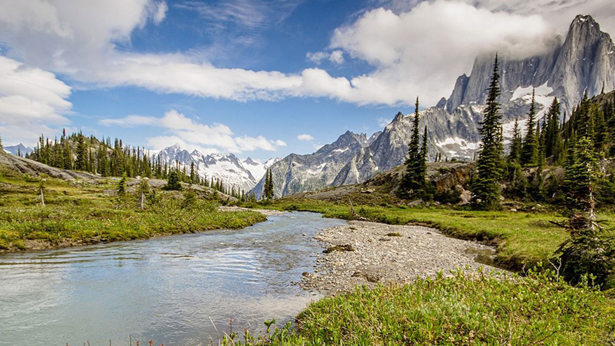 87 invitations issued by British Columbia in its recently held BC PNP Tech Draw