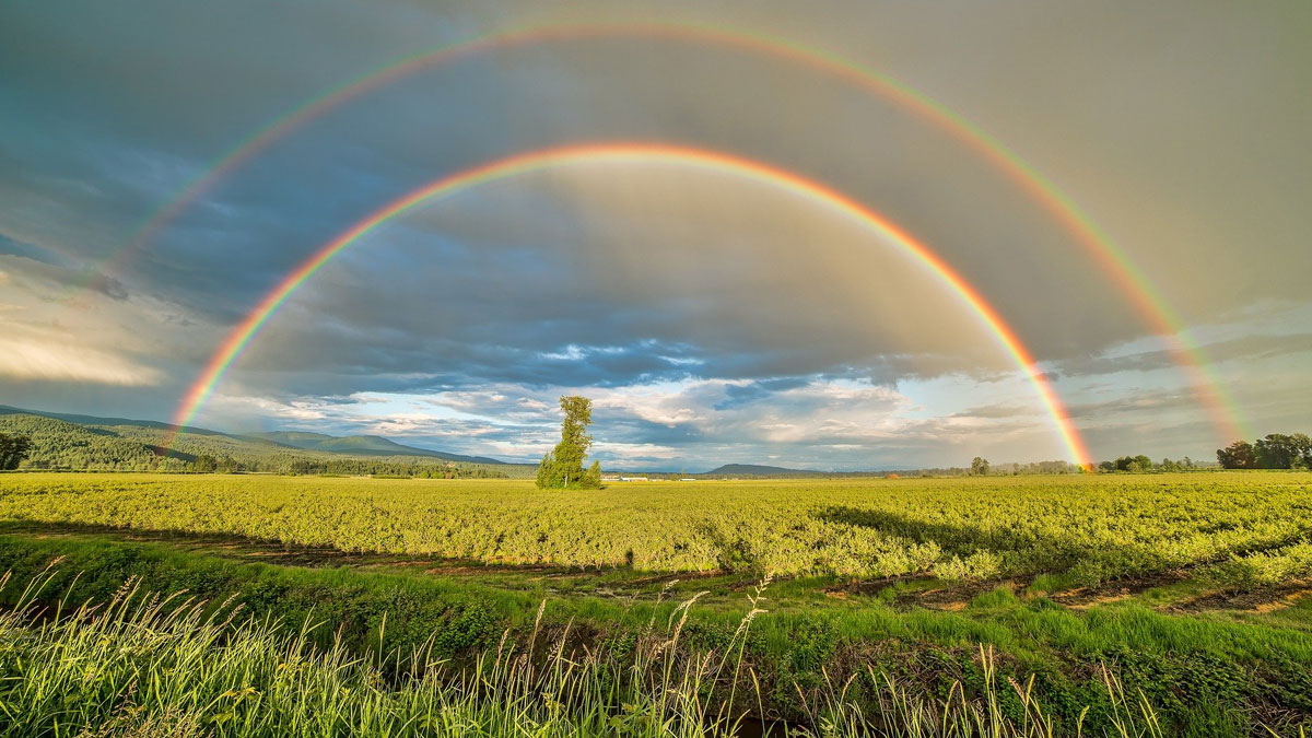 British Columbia PNP Draw: 373 invited in the latest provincial draw