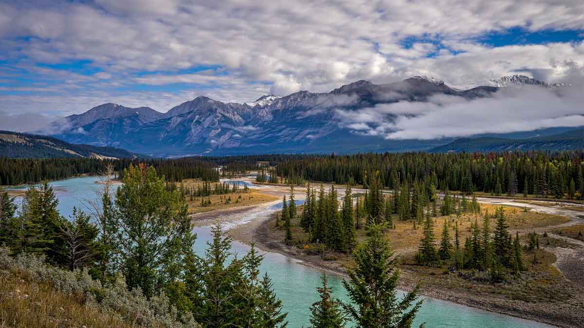 The curious case of Alberta’s small PNP draw with highest CRS cut-off since Feb 2021