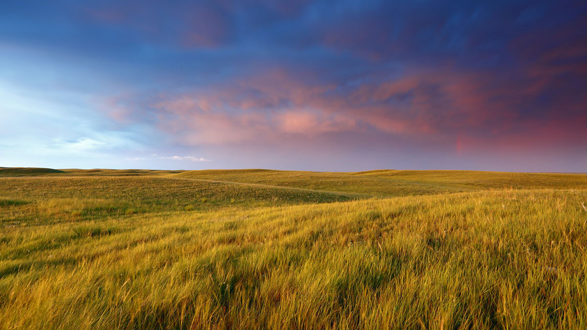 528 immigrants invited by Saskatchewan under its PNP program