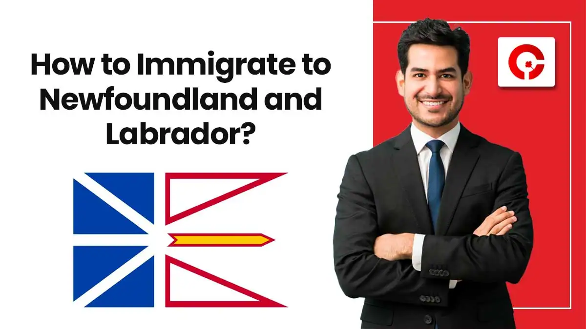 How to Immigrate to Newfoundland and Labrador?