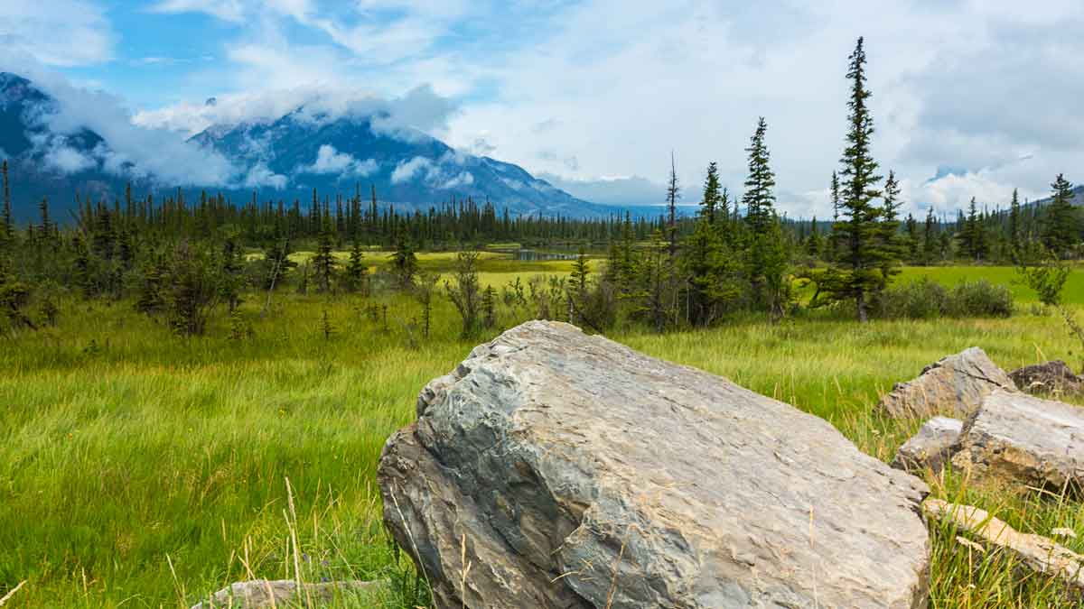 New Draw by Saskatchewan: Invites 198 candidates